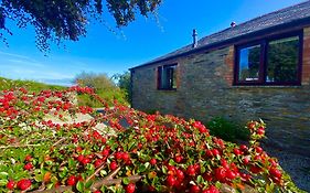Polrunny Farm Elderberry Cottage With Sea View